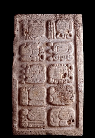 Arte precolombiana, civiltà Maya, periodo classico: frammento di una scalinata con glifi in bassorilievo. Guatemala, Museo Nazionale di Archeologia e Etnologia da Mayan Mayan
