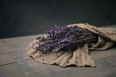 Mazzo di lavanda essiccata da Mayra Pama