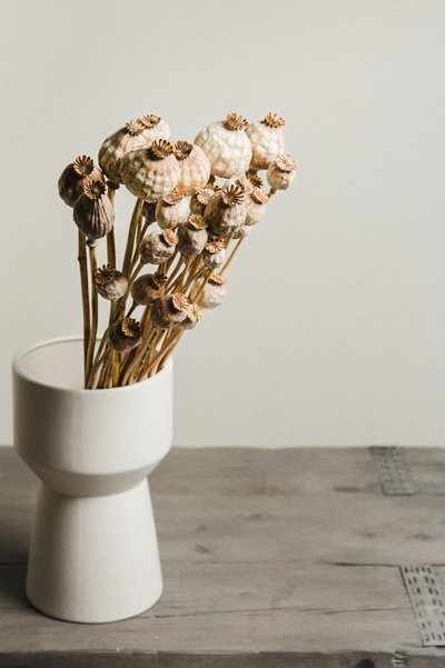 Vaso naturale con capsule di papavero da Mayra Pama