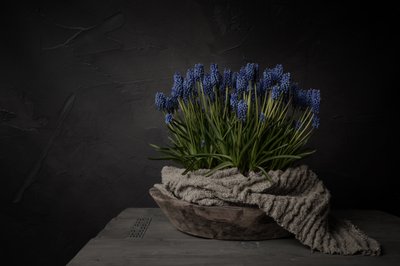 Fiori blu rustici da Mayra Pama