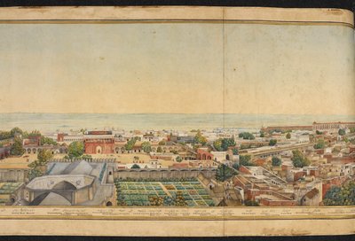 Sezione di un panorama di Delhi da Mazar or Mazhar Ali Khan
