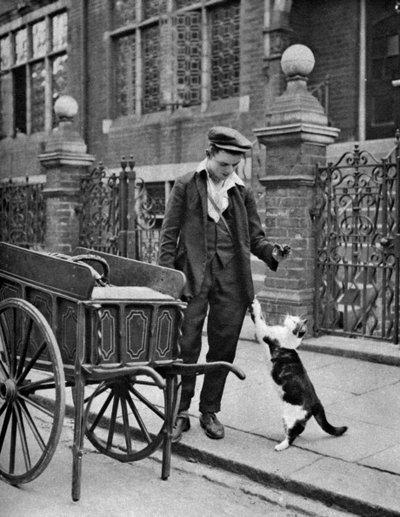 Venditore di carne di gatto, Londra da McLeish