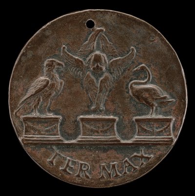 Cherubino, Cigno e Aquila (retro) da Mea