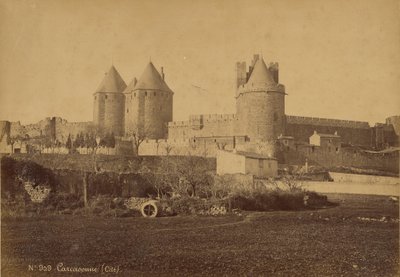 Carcassonne da Mederic Mieusement