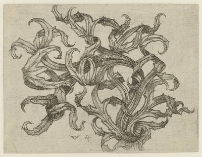 Ornamento di cardo da Meester W met de Sleutel