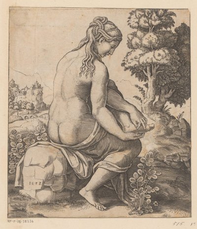 Venere e la rosa da Meester van de Dobbelsteen