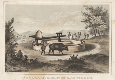 Apparato cinese per sbucciare e macinare grossolanamente il riso, 1855 da Meffert
