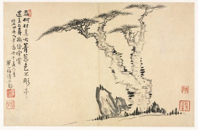 Paesaggi in vari stili dopo i vecchi maestri da Mei Qing