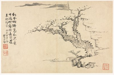 Paesaggi in vari stili dopo i vecchi maestri da Mei Qing
