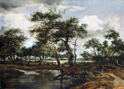 Uno stagno nella foresta, 1668 da Meindert Hobbema