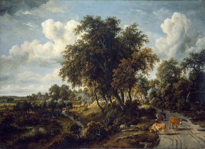 Paesaggio boscoso: il sentiero sull