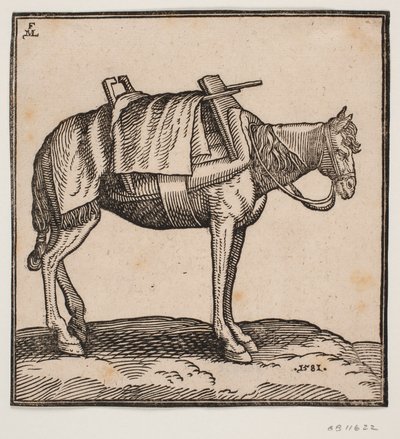 Un cavallo da trasporto sellato da Melchior Lorck