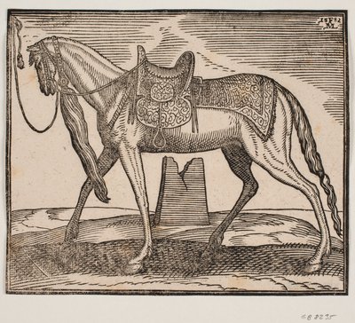 Cavallo elegante sellato, legato alla linea di inquadratura sinistra, profilo a sinistra; sotto il ventre del cavallo si vede una rovina da Melchior Lorck