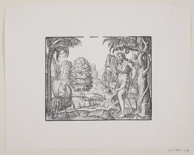 San Giovanni Battista nel deserto da Melchior Lorck
