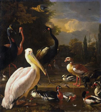 Un pellicano e altri uccelli vicino a uno stagno, noto come "La piuma galleggiante". da Melchior d