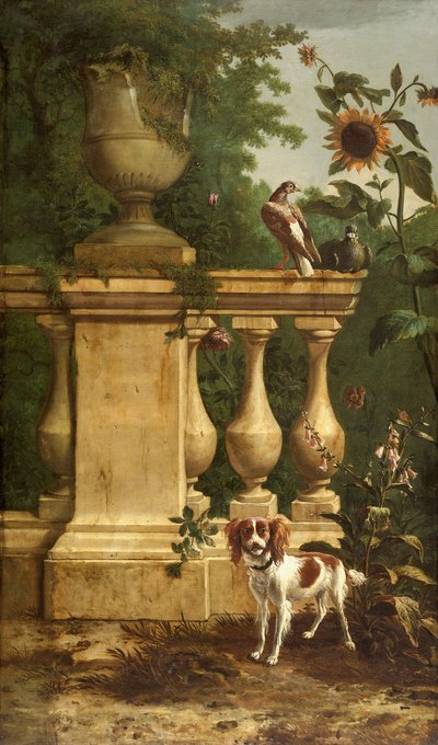 Piccioni e un cane in un giardino, c1660-1690 da Melchior d