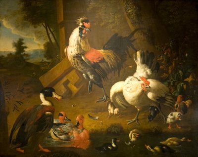 Un gallo con una gallina e tre anatre da Melchior de (studio of) Hondecoeter