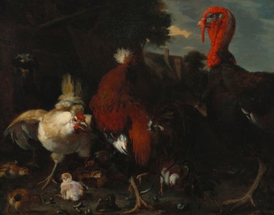 Una gallina, un gallo e un tacchino in un cortile da Melchior de Hondecoeter