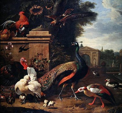 Un pavone, un falco e vari volatili e anatre in un parco da Melchior de Hondecoeter