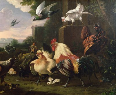 Un gallo e altri volatili in un paesaggio da Melchior de Hondecoeter
