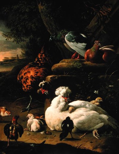 Una gallina con pulcini, un gallo e piccioni in un paesaggio da Melchior de Hondecoeter