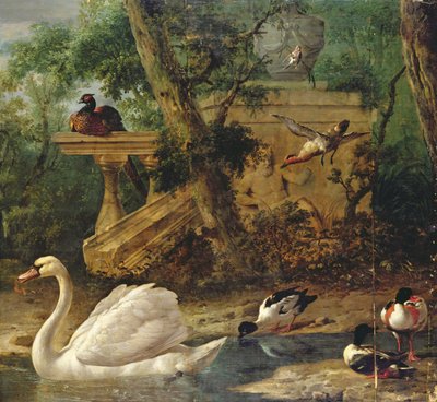 Uccelli in un giardino da Melchior de Hondecoeter