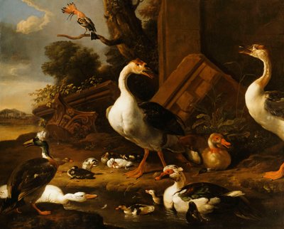 Oche cinesi ed egiziane e altri uccelli in un paesaggio con rovine vicine da Melchior de Hondecoeter