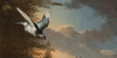 (dettaglio) da Melchior de Hondecoeter