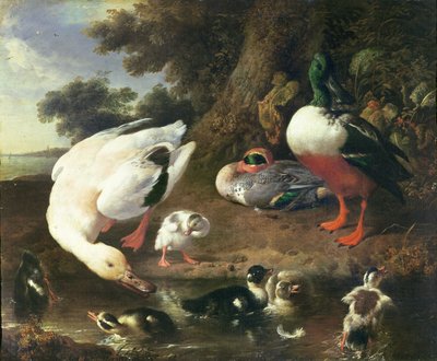 Anatre nel cortile da Melchior de Hondecoeter