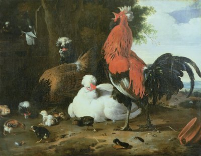 Pollame da cortile con piccioni da Melchior de Hondecoeter