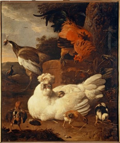 Chioccia con pulcini da Melchior de Hondecoeter