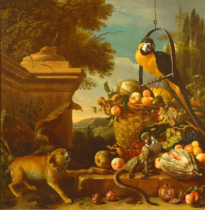 Ara e una scimmia da Melchior de Hondecoeter