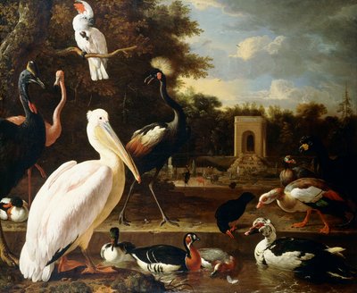 Molti tipi diversi di uccelli a una pozza in un parco da Melchior de Hondecoeter
