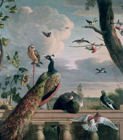 Palazzo di Amsterdam con uccelli esotici da Melchior de Hondecoeter