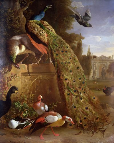 Pavone e pavoncella su un piedistallo, con anatre e altri uccelli in un parco da Melchior de Hondecoeter