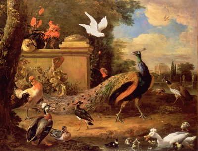Pavoni e altri uccelli presso un lago da Melchior de Hondecoeter
