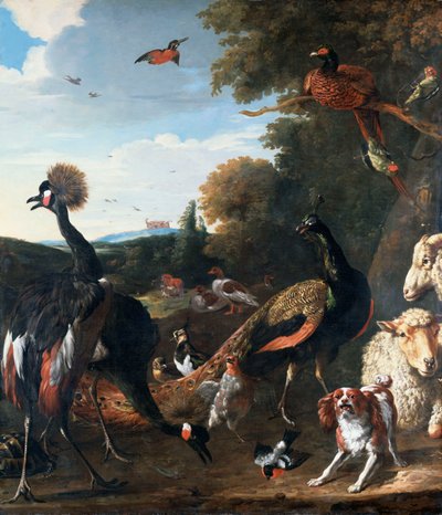 Pavoni e altri uccelli, con una pecora e un cane in un paesaggio da Melchior de Hondecoeter