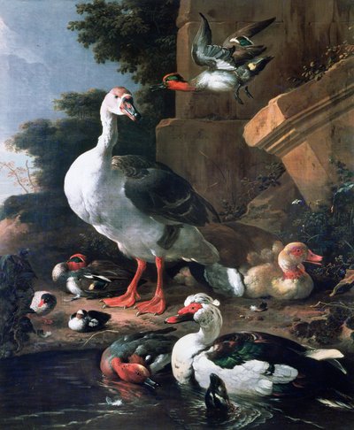 Uccelli acquatici in un paesaggio classico, XVII secolo da Melchior de Hondecoeter