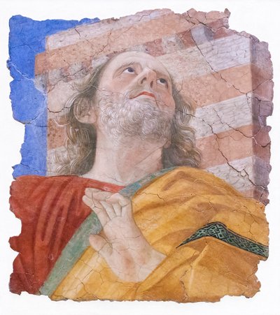 Testa di apostolo da Melozzo da Forli