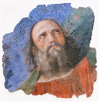 Testa di apostolo da Melozzo da Forli