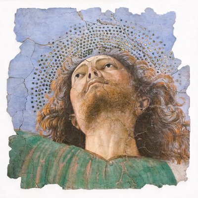 Testa di apostolo da Melozzo da Forli