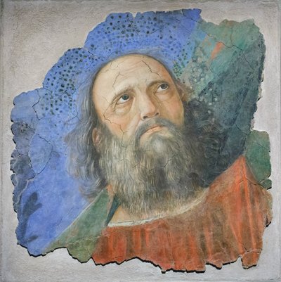Testa di apostolo, c.1480 da Melozzo da Forli