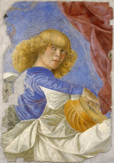 Angelo musicista di Melozzo da Forlì, c.1480 (affresco) da Melozzo da Forli