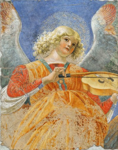 Angelo musicista di Melozzo da Forlì, c.1480 (affresco) da Melozzo da Forli