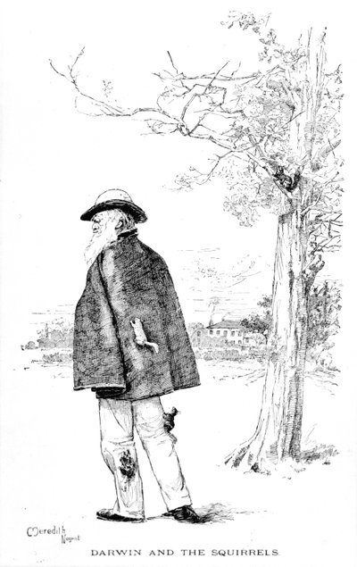Darwin e gli scoiattoli, illustrazione da Charles Darwin, La sua vita e il suo lavoro di Charles Frederick Holder, 1899 da Meredith Nugent