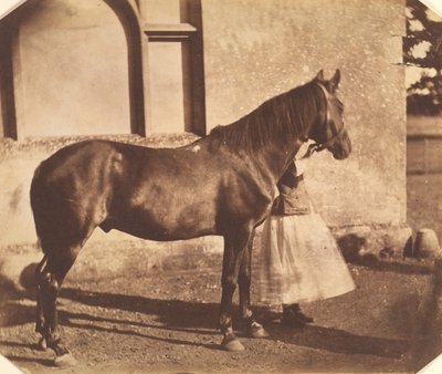 Sultano, metà degli anni 1850 da Mervyn Herbert Nevil Story Maskelyne