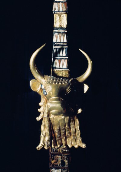 Testa di un toro, decorazione di un
