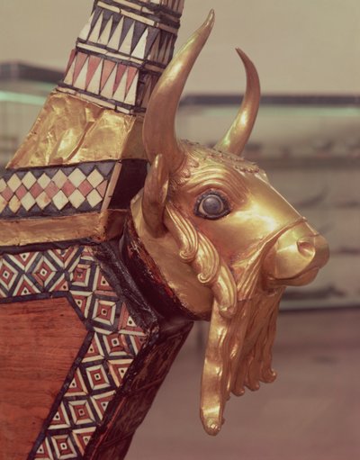 Testa di un toro, decorazione di un