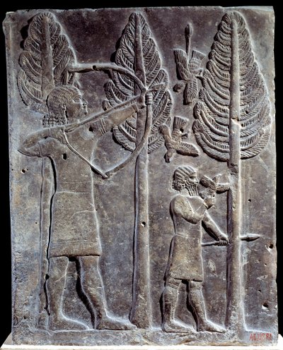 Scena di caccia agli uccelli. Bassorilievo in alabastro dal Palazzo di Sargon II o Sharroukin, Re di Assiria a Khorsabad (Khunsabad) (Mesopotamia), Iraq. 722-705 a.C. Parigi, Louvre da Mesopotamian Mesopotamian
