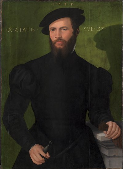Ritratto di un gentiluomo di 27 anni da Mesteren fra 1540